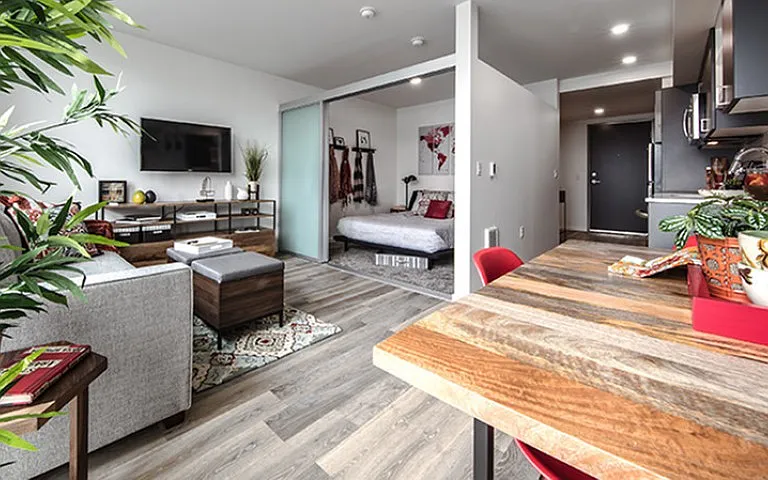 Open 1 bedroom