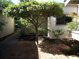 Entry Courtyard