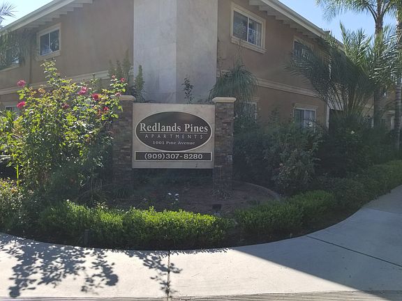 3rd image of 1001 Pine Ave APT 2