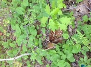 10 Acres Rustic Rd, Washburn, WI 54891