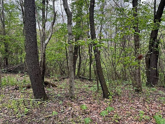 4th image of Sandy Ridge Rd SE