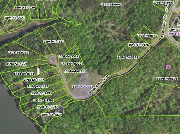 LOT 16 Robin Ridge Ct, Pittsville, VA 24139