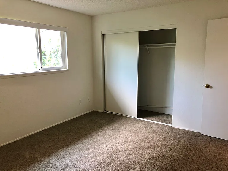 Pamela Terrace — Photo 8
