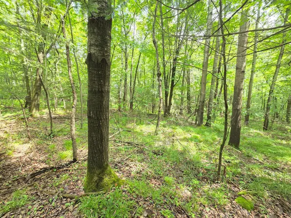 Woodland Ln #12ACRES, Phillips, WI 54555