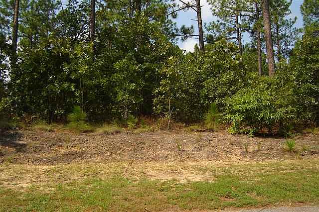 2nd image of tbd Andrews Drive