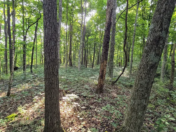 0 Lovers Lane Rd W, Bennington, IN 47011