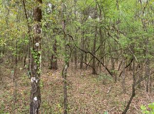 18 NE Tansy Rd LOT 28, Mayo, FL 32066