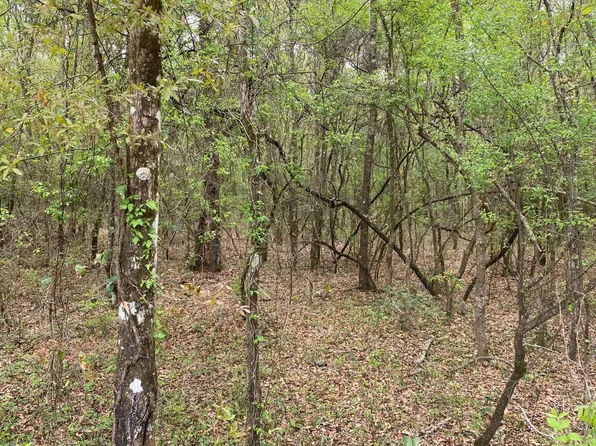 18 NE Tansy Rd Lot 28, Mayo, FL 32066
