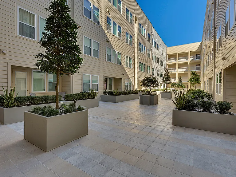 Amelia Court — Photo 22