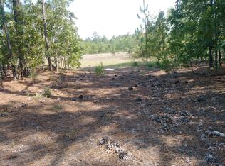 405 James Dunbar Rd, Pelion, SC 29123