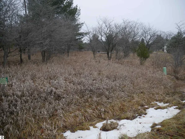 0 Linksview Way, Gladwin, MI 48624