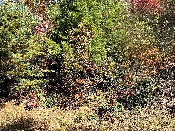 2nd image of TBD Beaver Dam Road