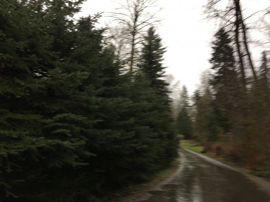 2nd image of 414 254th Ave NE