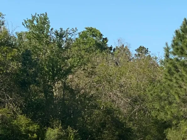 Highway 43 & Jarbry Ln, Picayune, MS 39466