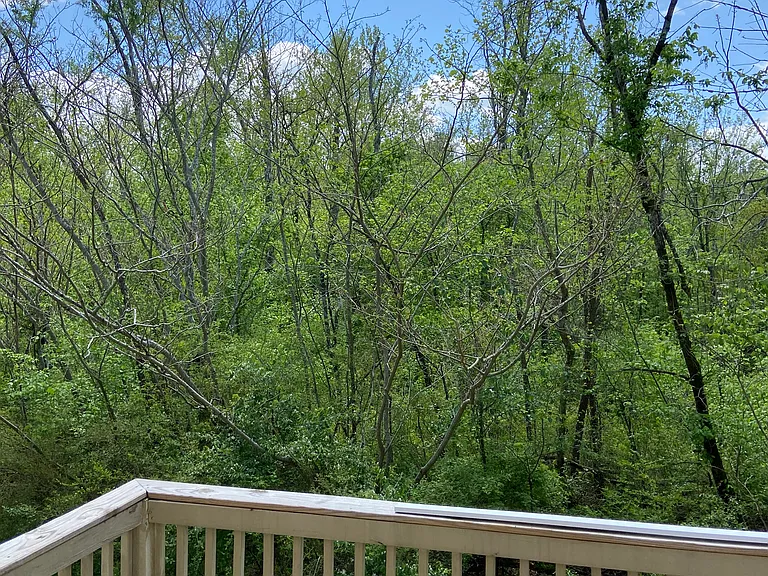 1308 Stratton Place Dr #C — Photo 8