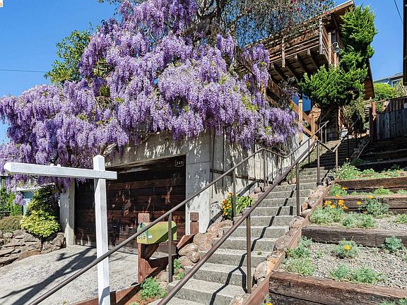 5th image of 249 Trinity Ave