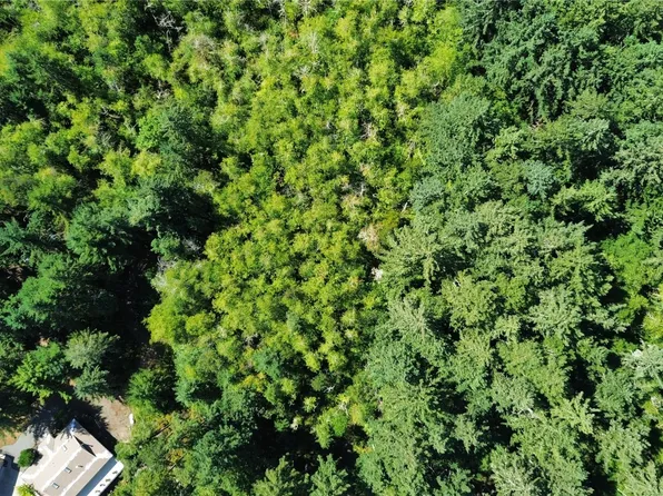 10806 Larson Road, Anderson Island, WA 98303