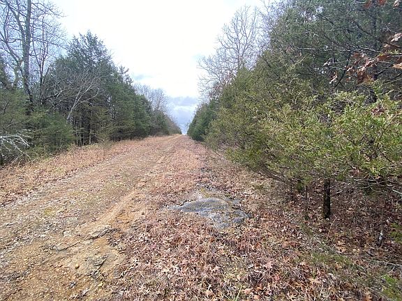 4th image of Big Buck Ln