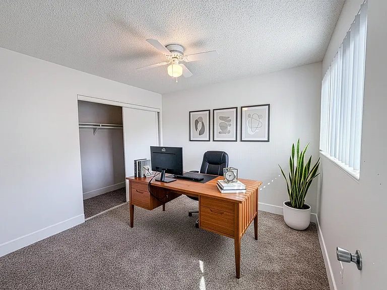 The Palms Apartments — Photo 9
