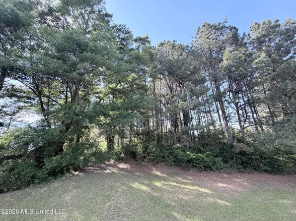 0 Risher Rd, Carthage, MS 39051
