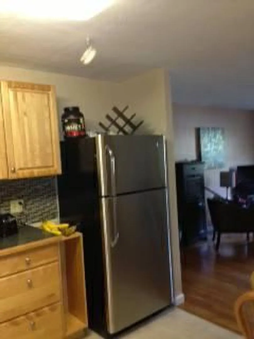 No Broker Fee | Fully Renovated 2 Bed Condo | Heat & Hot Water Included — Photo 3