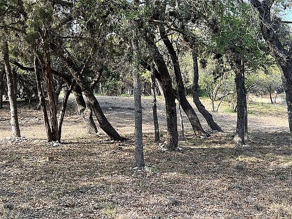 3rd image of 15411 Borja Dr