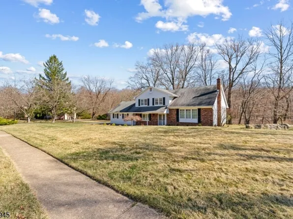 4 Sue Ct, Roxbury Twp., NJ 07836