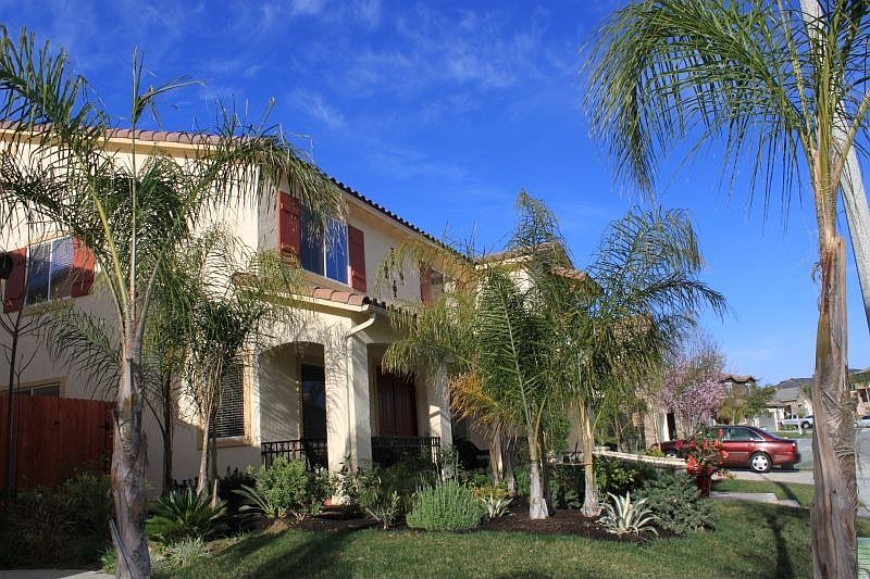 Side View