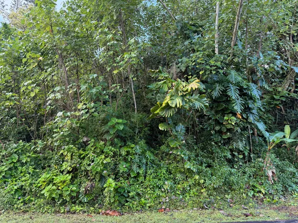 Moi St Lot 4, Pahoa, HI 96778