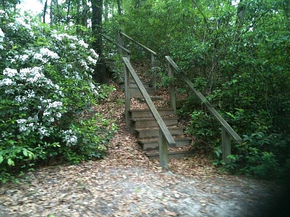 stairs down to creek