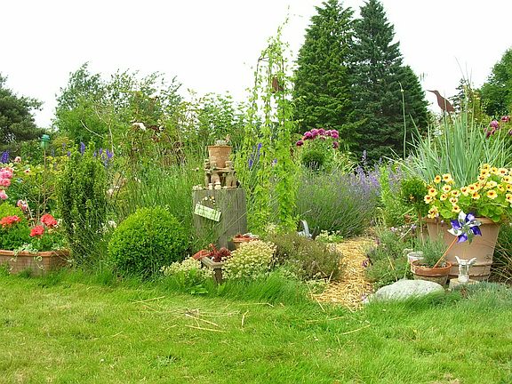 Back Yard Garden