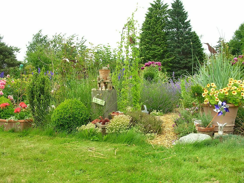 Back Yard Garden