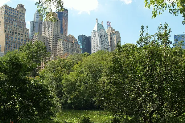 Rented by Sotheby's International Realty | media 11