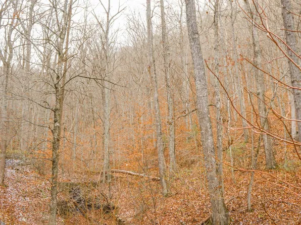 700 Oak Holw, White Sulphur Springs, WV 24986