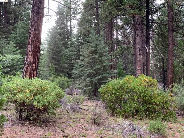 0 Old Toll Rd, Nubieber, CA 96068