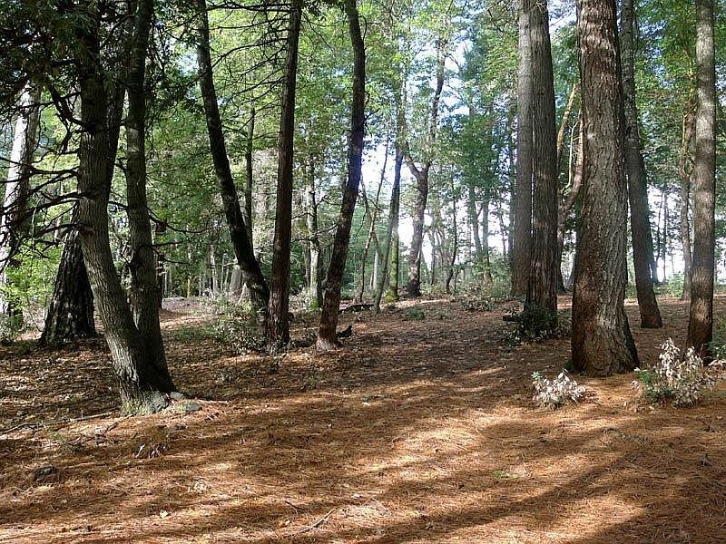 2nd image of 11235 Winding Way