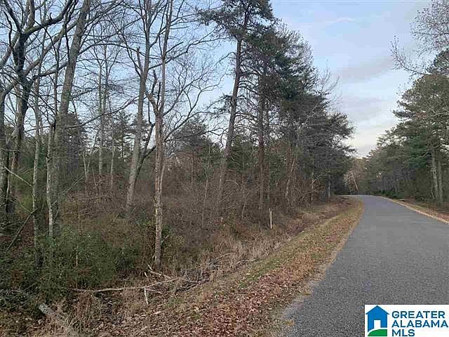 2nd image of 0 County Road 52 #0