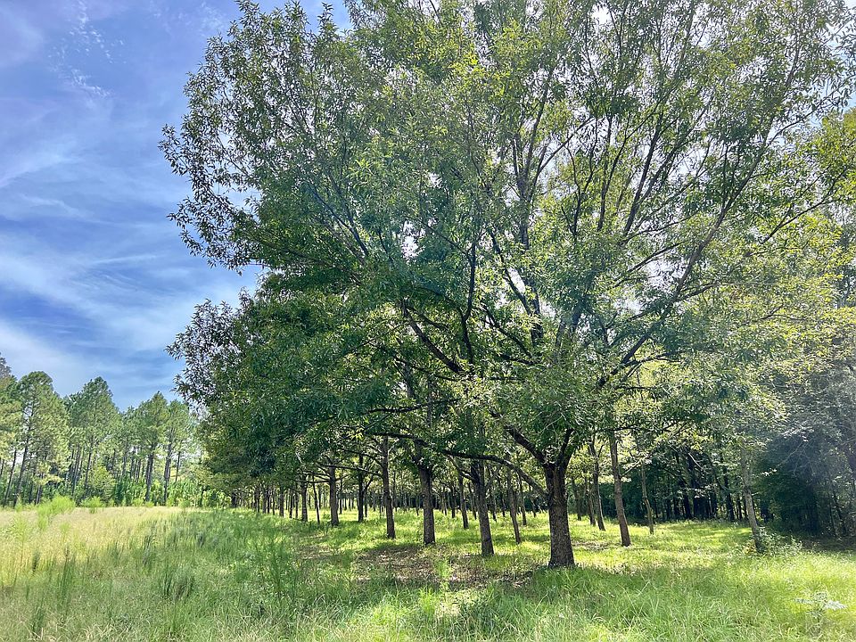 LOT WP001, Eastman, GA 31023 Zillow