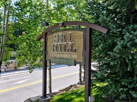 250 Ski Hill Rd, Breckenridge, CO