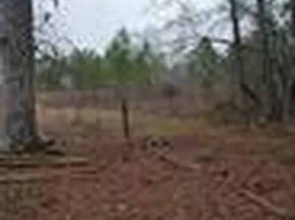 71939 1054th Hwy, Kentwood, LA 70444