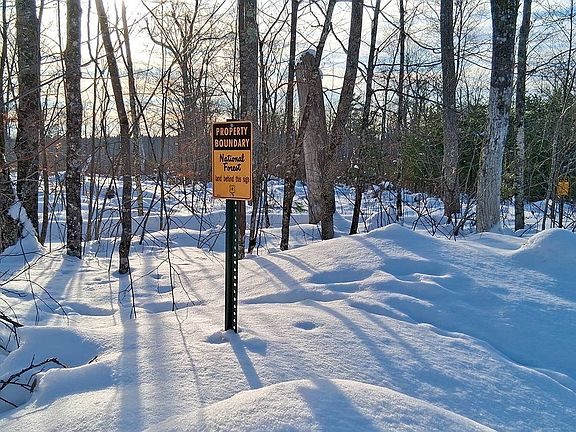 5th image of 3 Log Lodge Rd