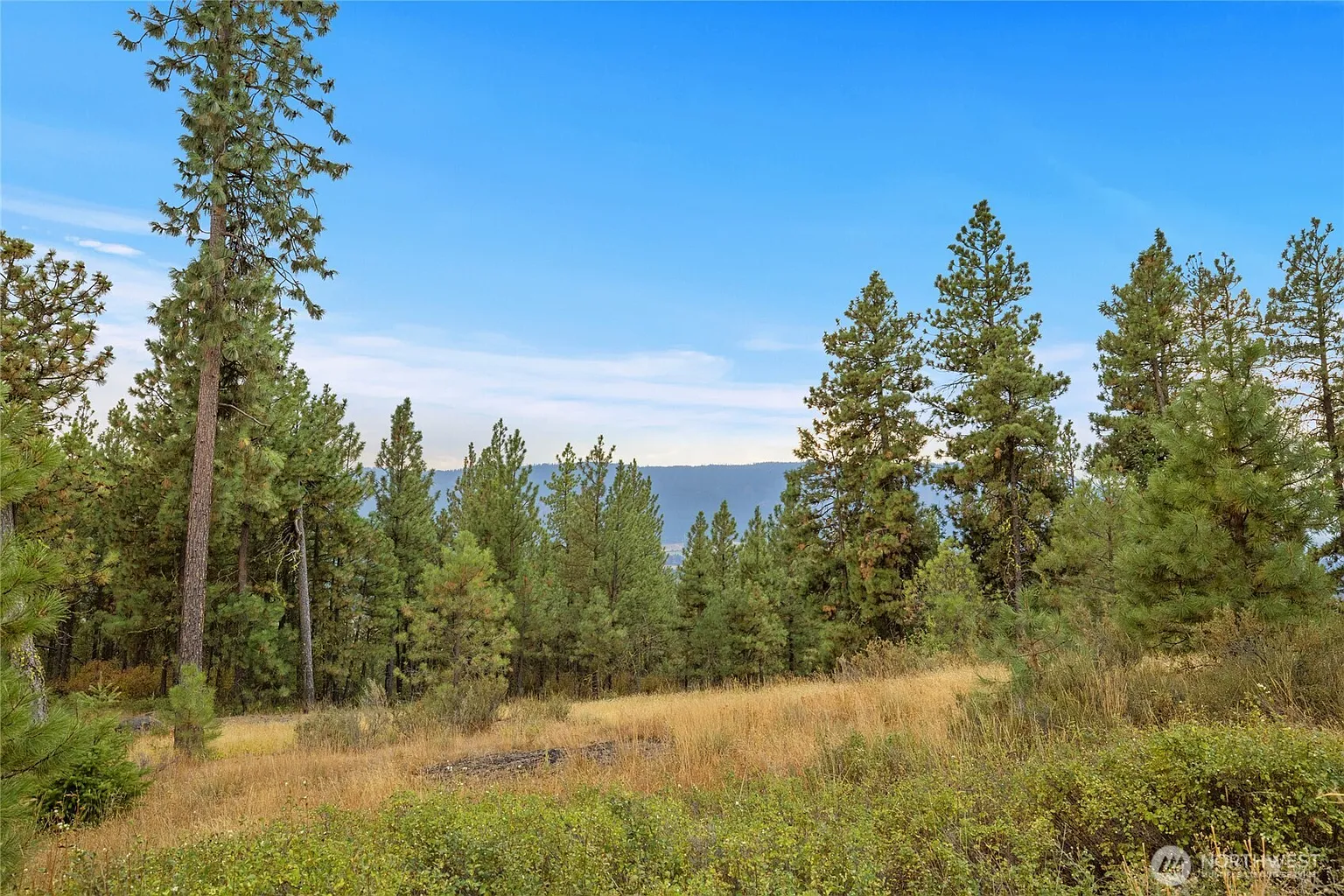 0 Owl Ridge Dr photo 1