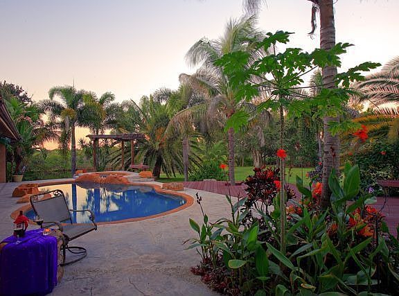 Beautiful Treed lot w/ Tropical Pool, Deck & Bar