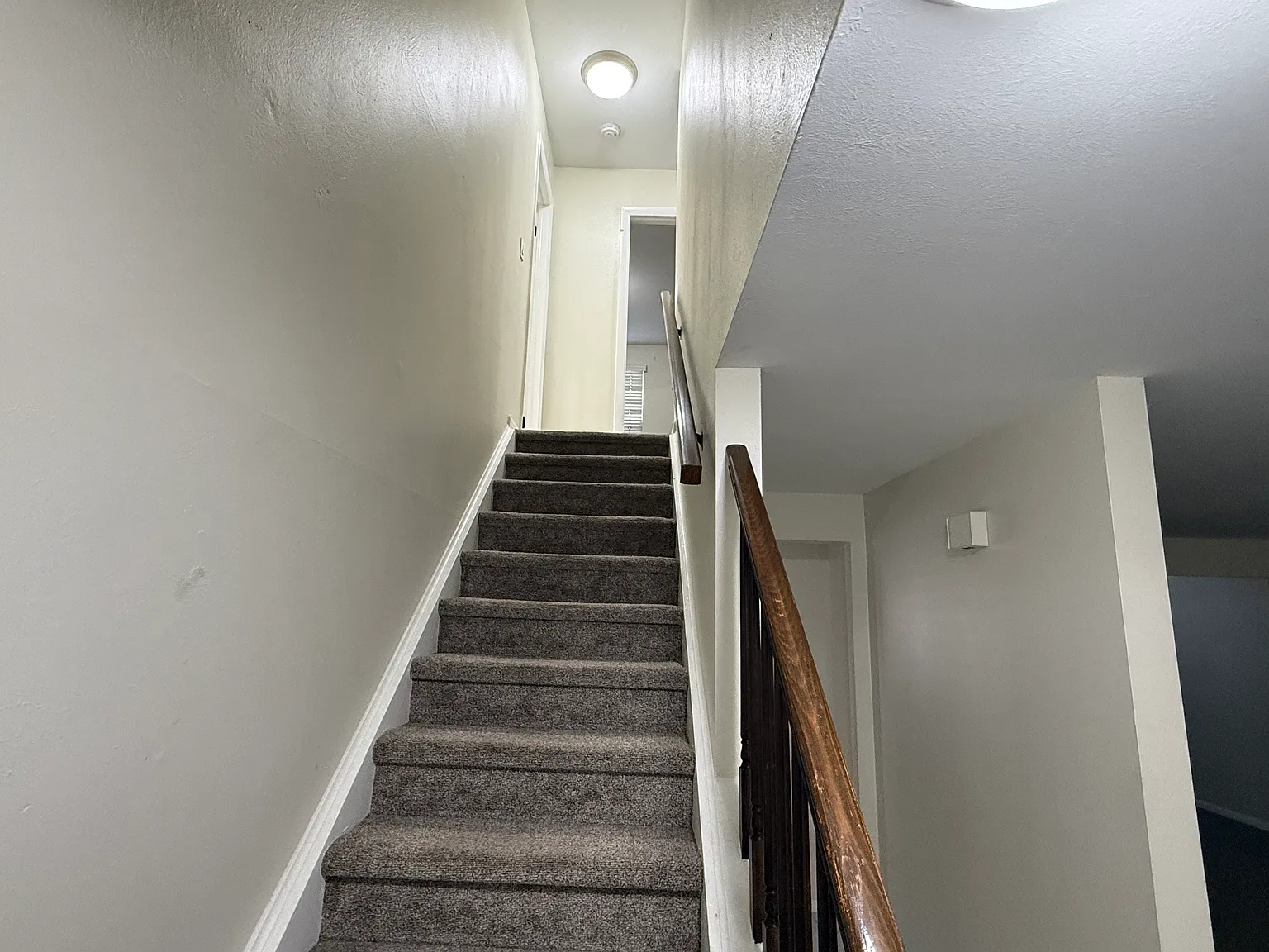 3 bed, 2501 sqft, $3,000 — Photo 4
