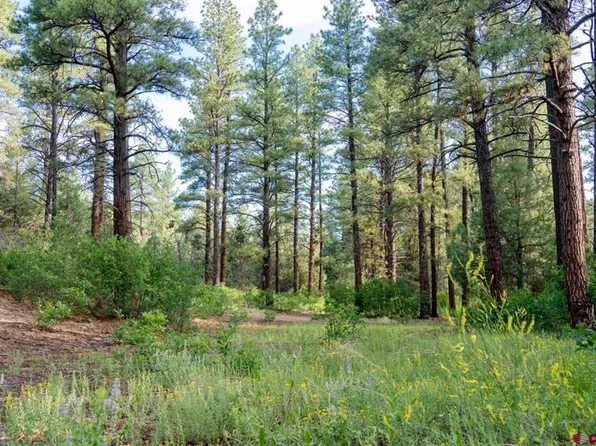 Lots 1-3 Road 39.2, Mancos, CO 81328