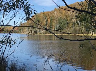 862 Revolver Lake Rd, Laona, WI 54541