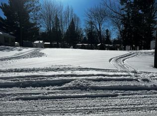 Lots 2&3 E Madison St, Saint Helen, MI 48656