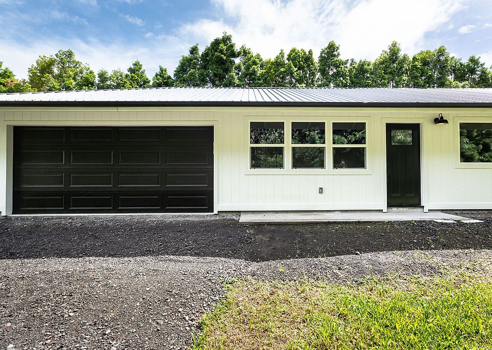 P.Hillii Yot #16 Aor Chao 子株 P.Hillii Yot #16 Aor Chao 子株