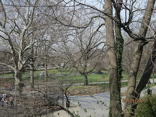 Rented by America Mecca Realty LLC | media 54