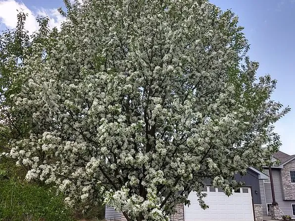 25348 162nd St NW, Big Lake, MN 55309